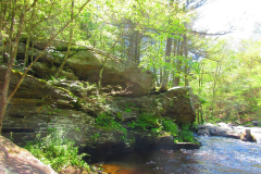 dinas-pool
