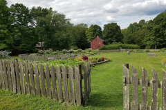 sharpe-hill-vineyard